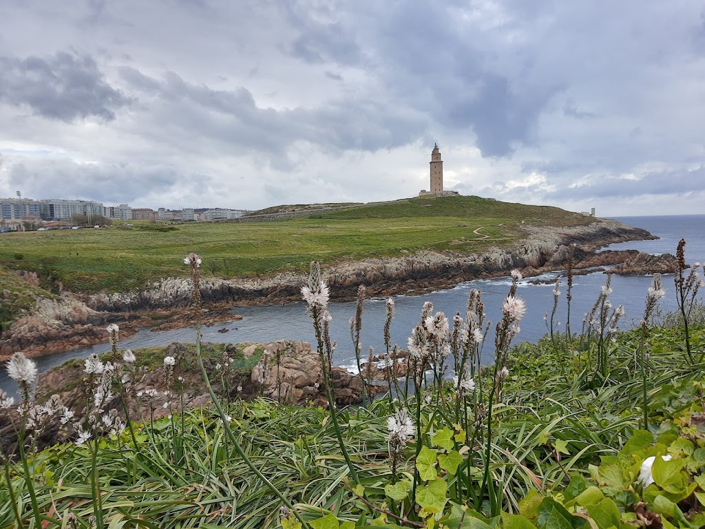Petroglifos de Punta Herminia
