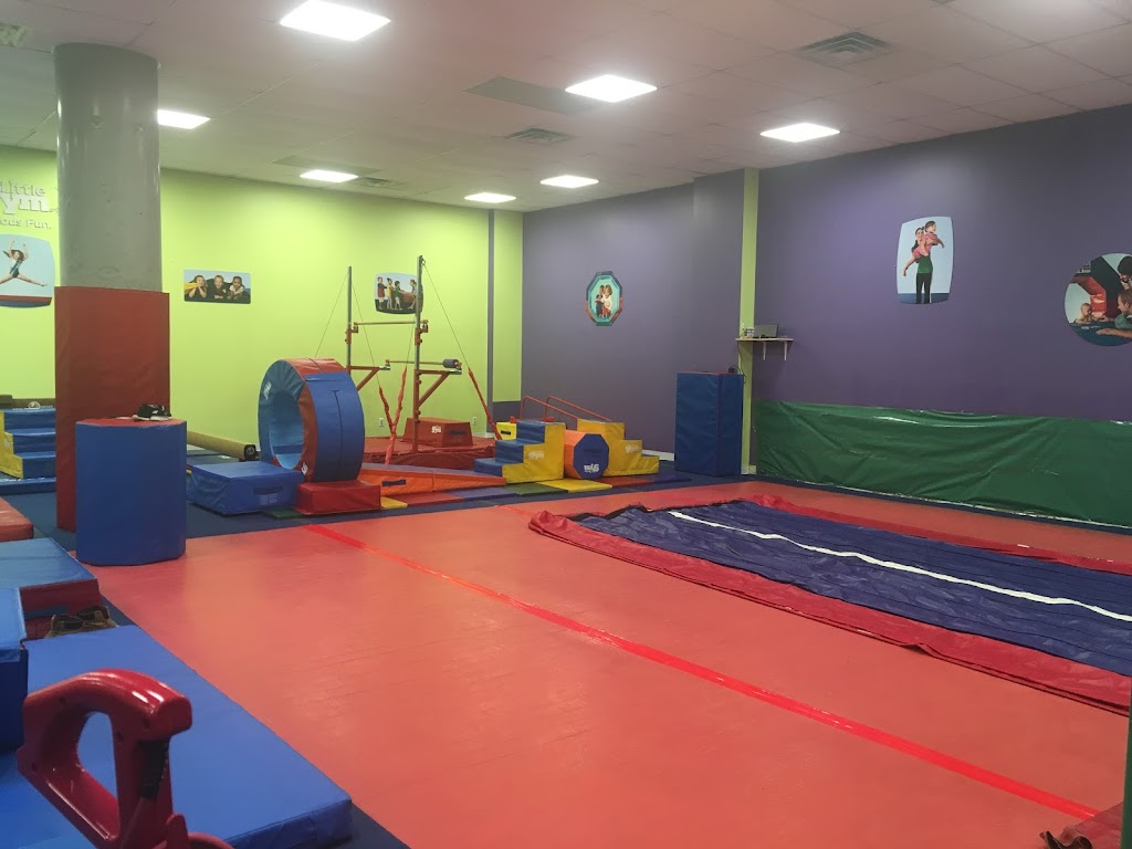  The Little Gym of Brooklyn Heights