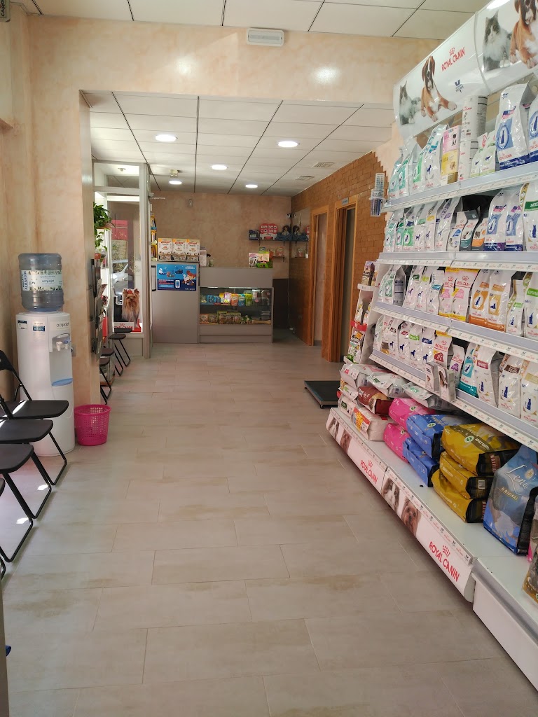 Clinica Veterinaria Dama y Vagabundo — Del propietario