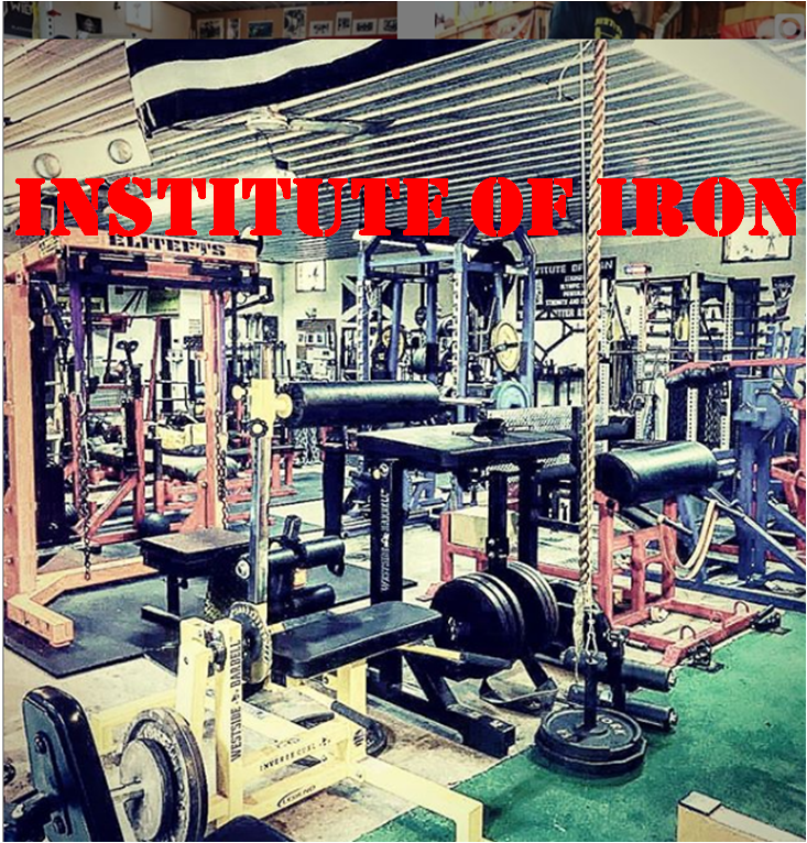 INSTITUTE OF IRON