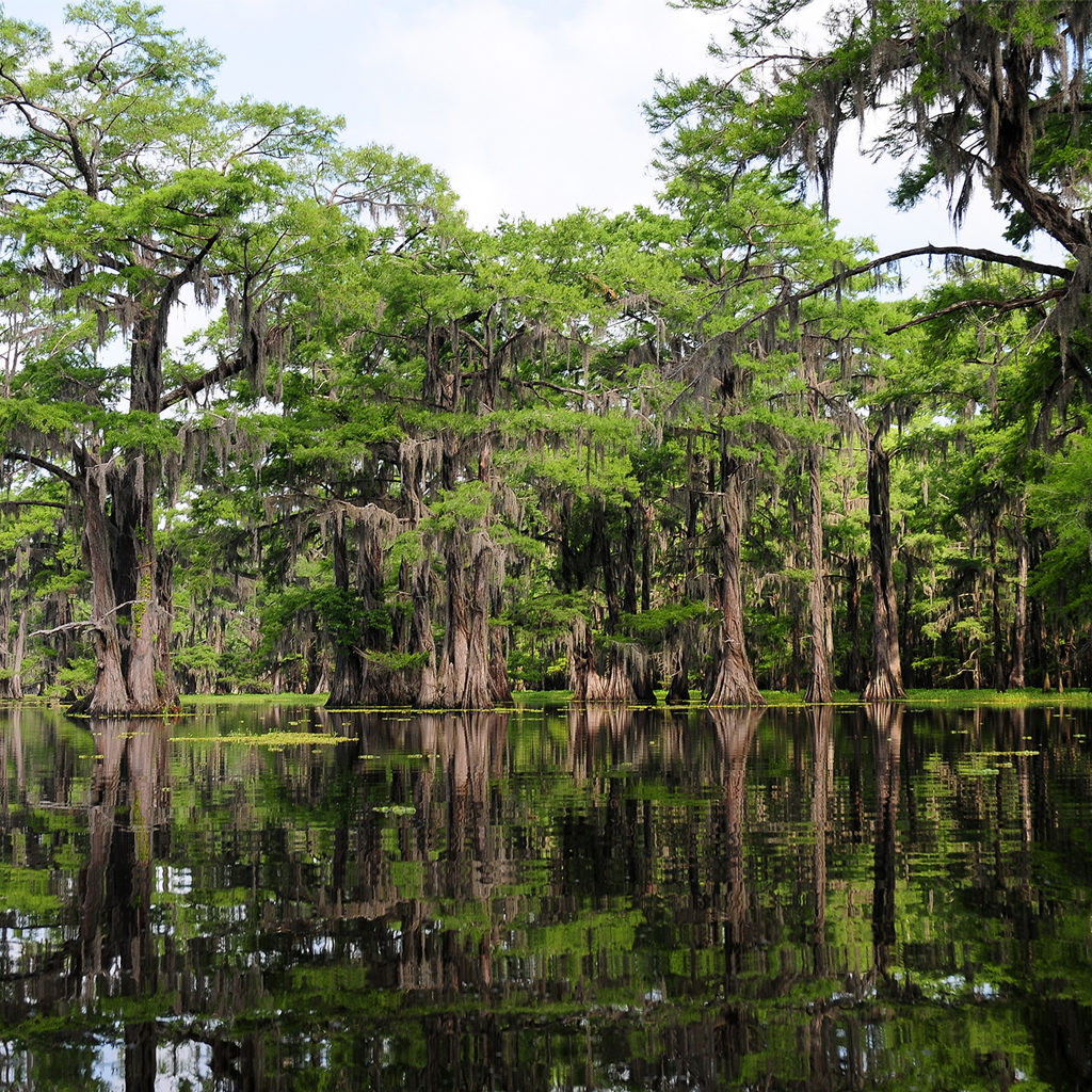 Bayou Bookkeeping Tax Services
