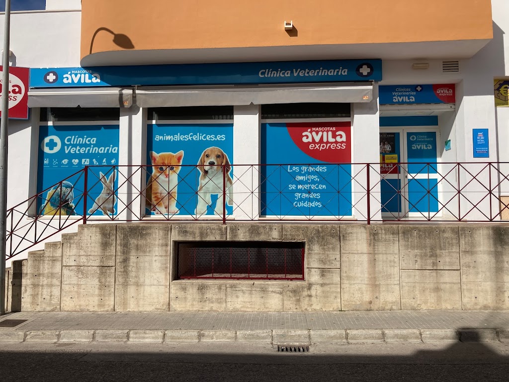 Clinica Veterinaria Avila Rota — Del propietario