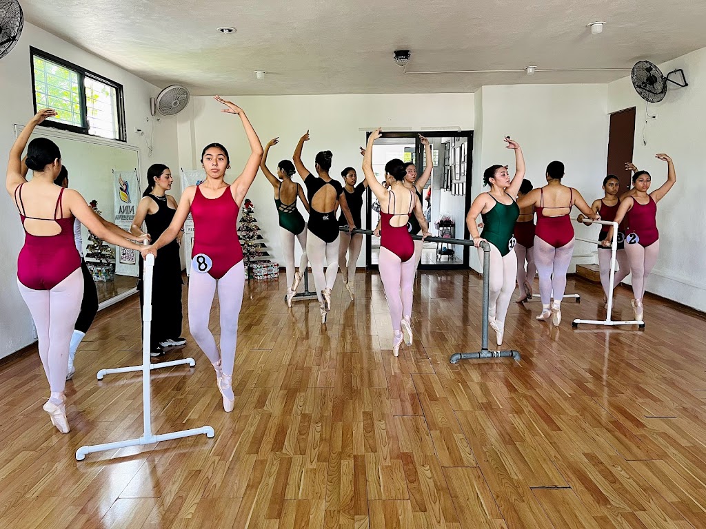 Academia De Danza "Nina Shestakova"