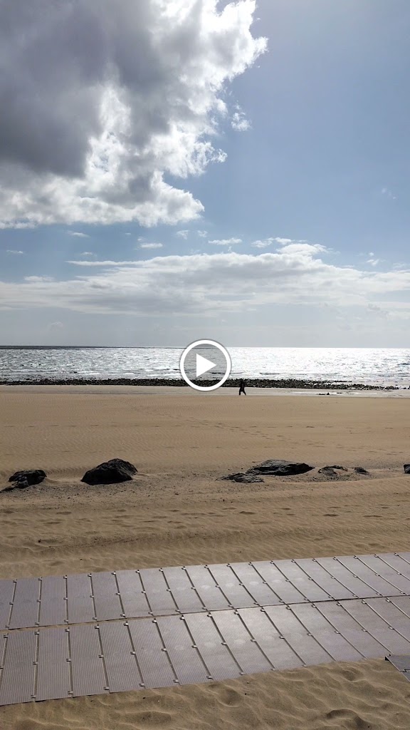 Paddy's Beach Bar — Videos