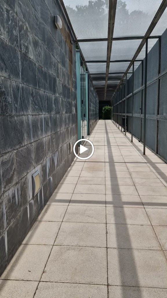 Piscina municipal de Olot — Videos
