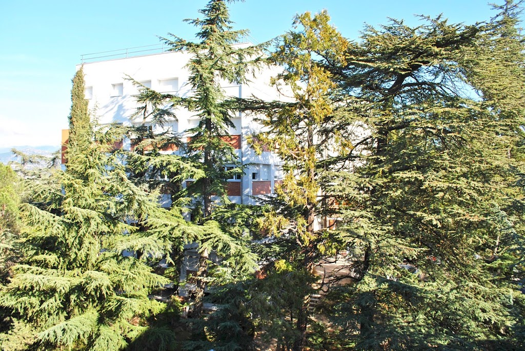 Colegio Virgen Almudena