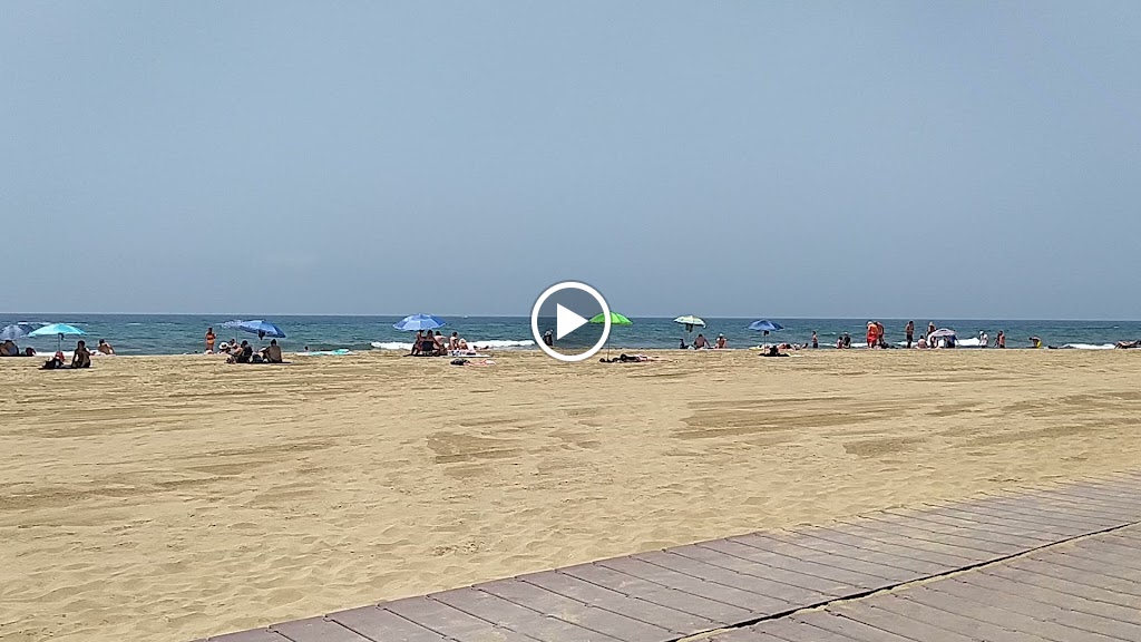 Meet Beach Bar Maspalomas — Videos