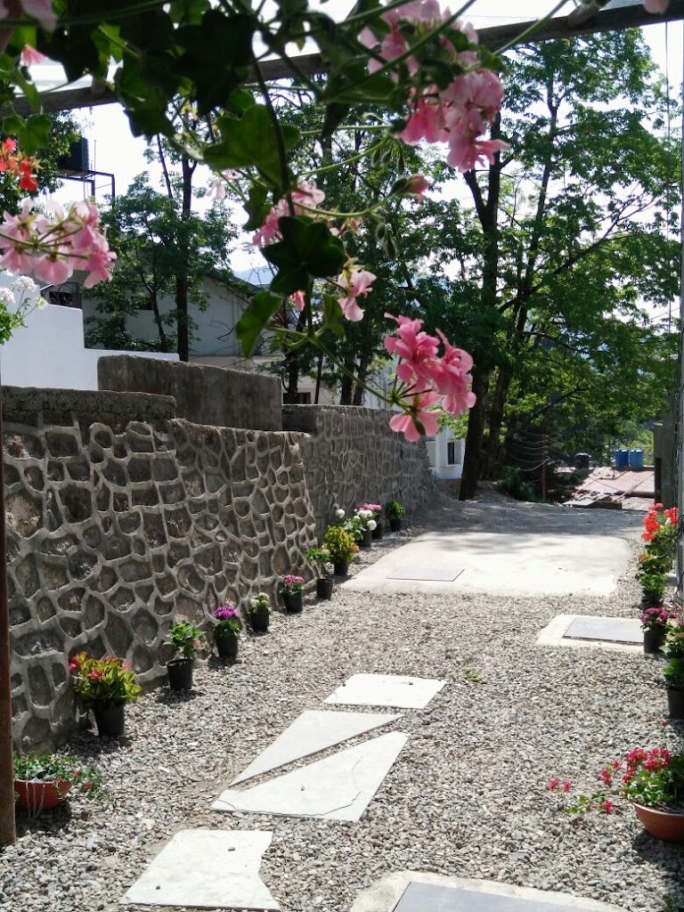 The Pinewood Nainital