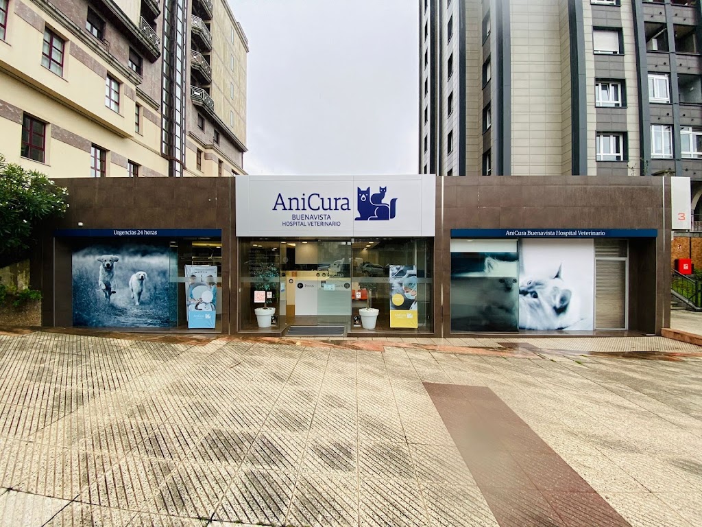 AniCura Buenavista Hospital Veterinario — Del propietario