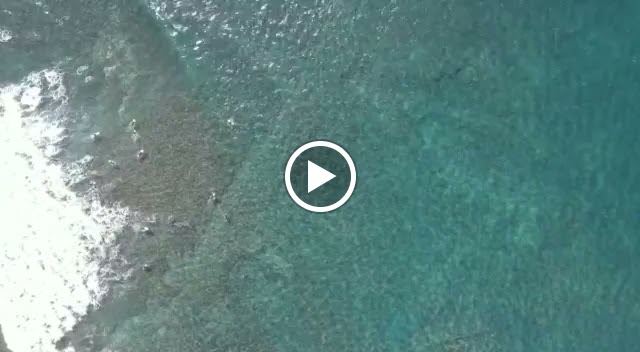 Patrick Garcia Surf Teacher — Del propietario