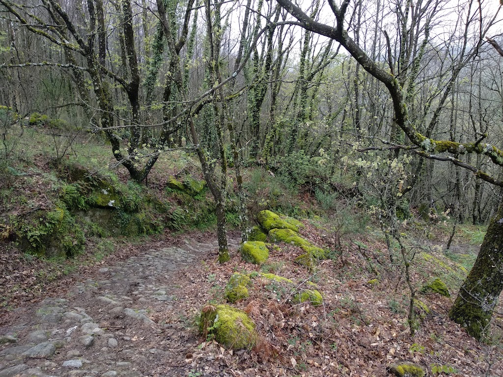 Ruta Camino de Arrieros