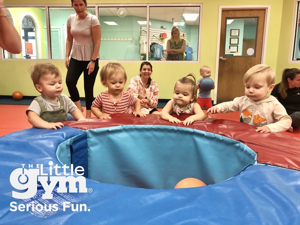  The Little Gym of Pittsburgh-South Hills