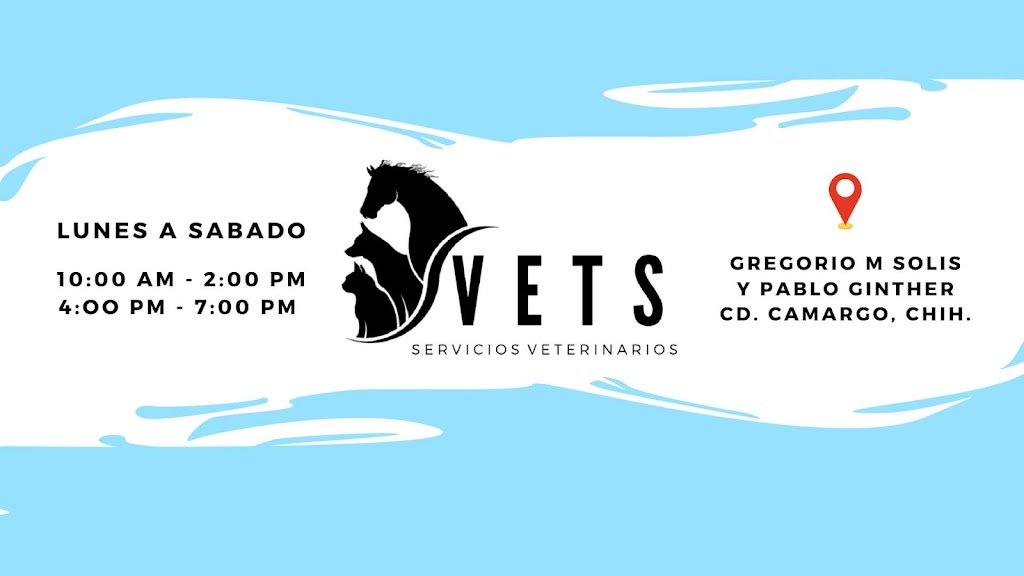 VETS Servicios Veterinarios