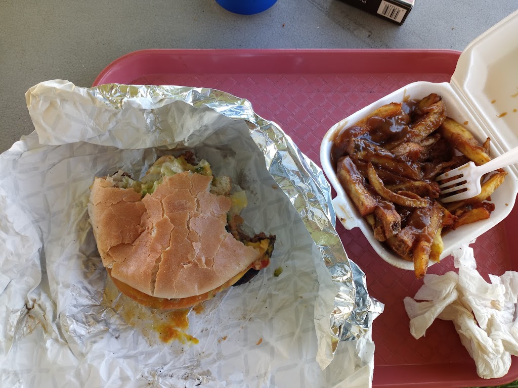 Hot Diggidy Dog