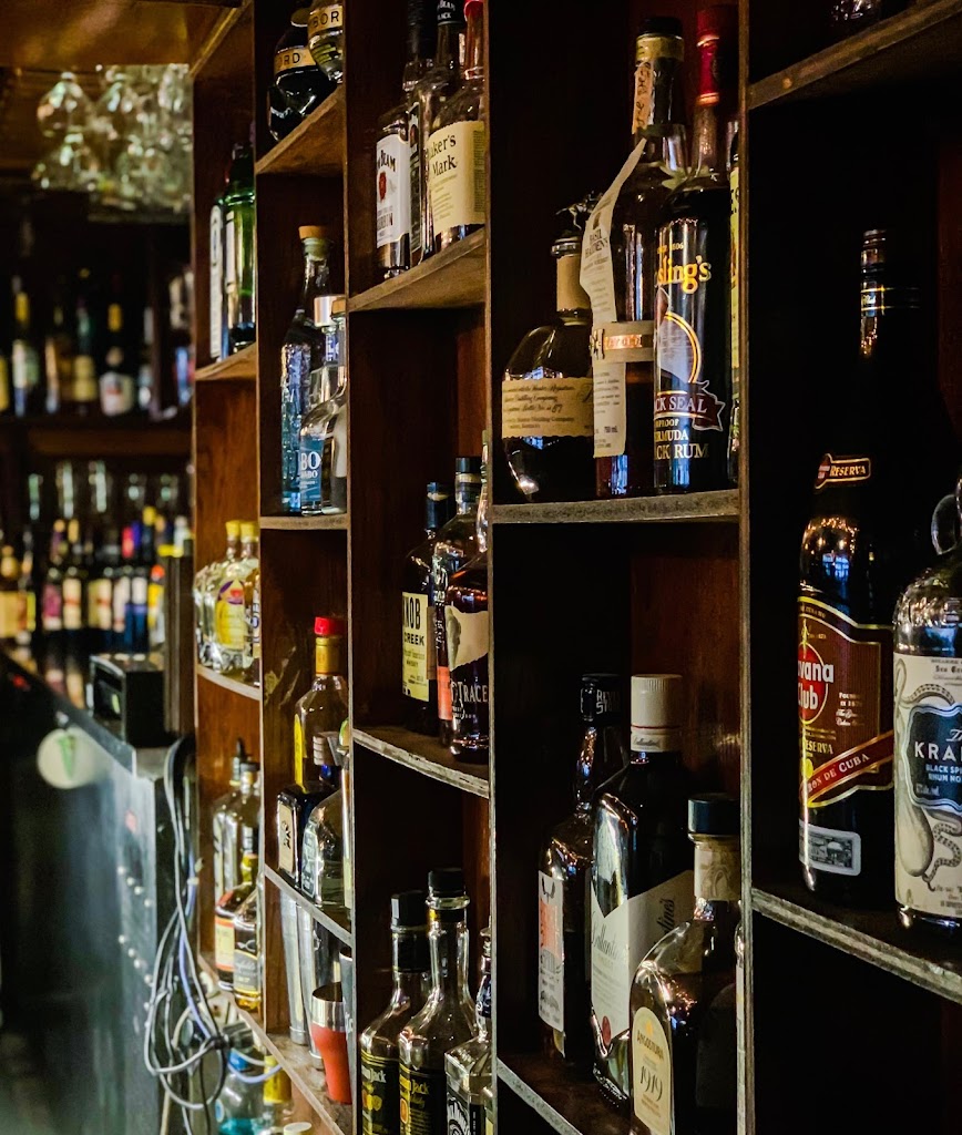 Village Idiot Pub