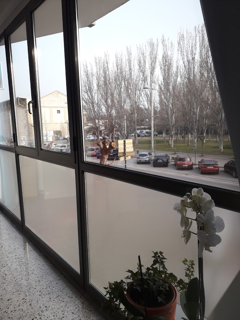 Tests & Trials | Estudios estadisticos, ensayos clinicos y nutricionales