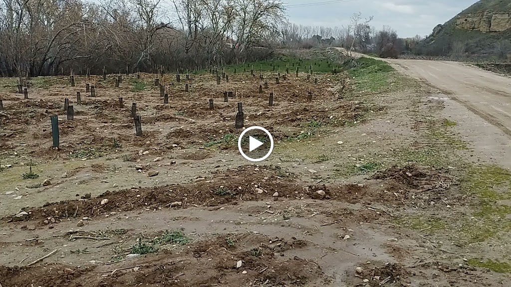Mirador de aves