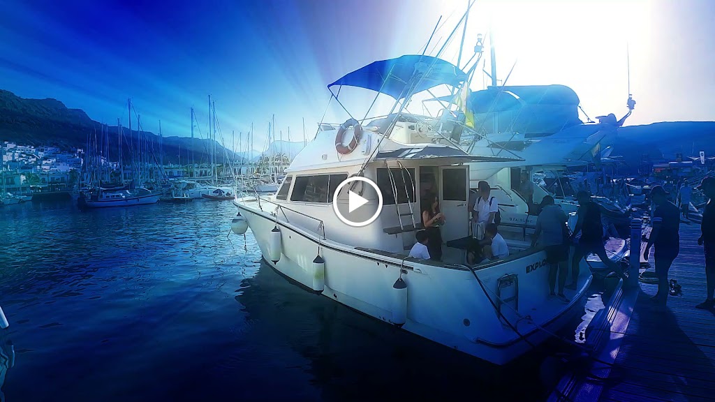 Dolphins, boat Trip, Keeper Uno Islas Canarias — Del propietario