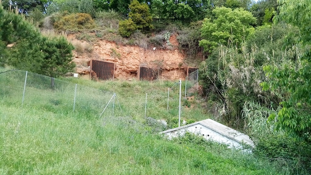 Coves de Sant Oleguer (Sabadell)