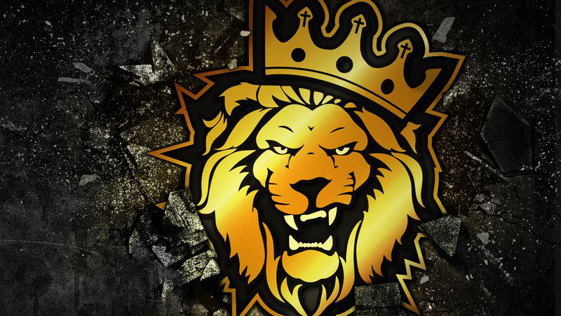  For Them Gainz Fitness