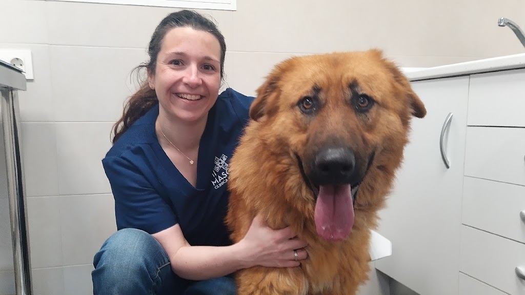 Clinica Veterinaria Mi Mascota
