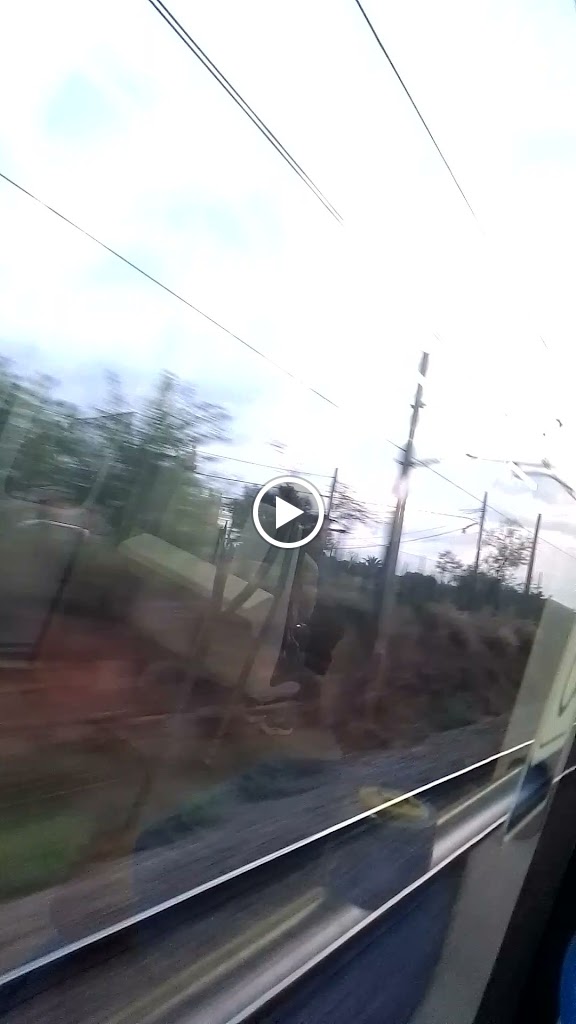 Estacion de tren — Videos