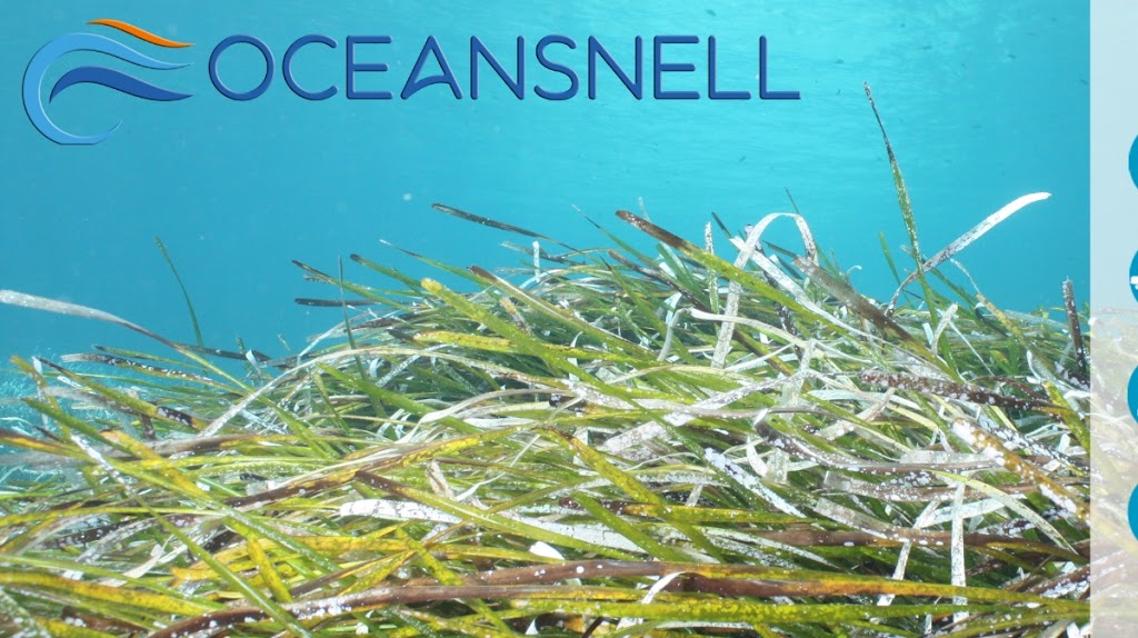 OCEANSNELL - Consultoria Ambiental Marina