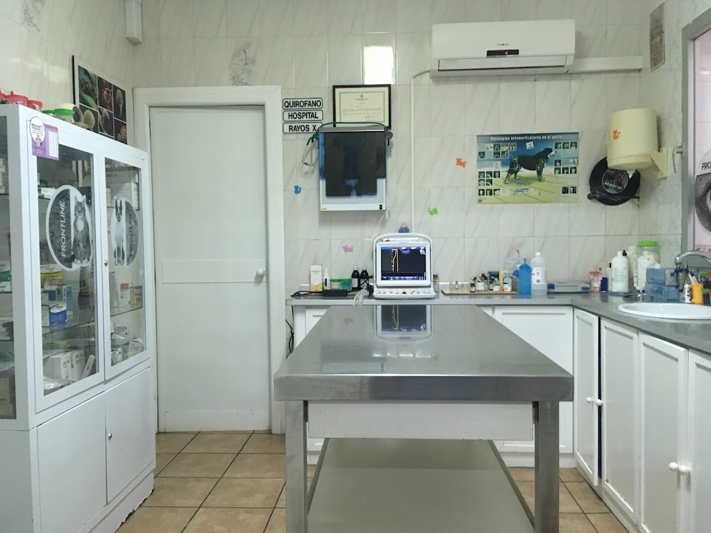 Clinica Veterinaria Zoolinea