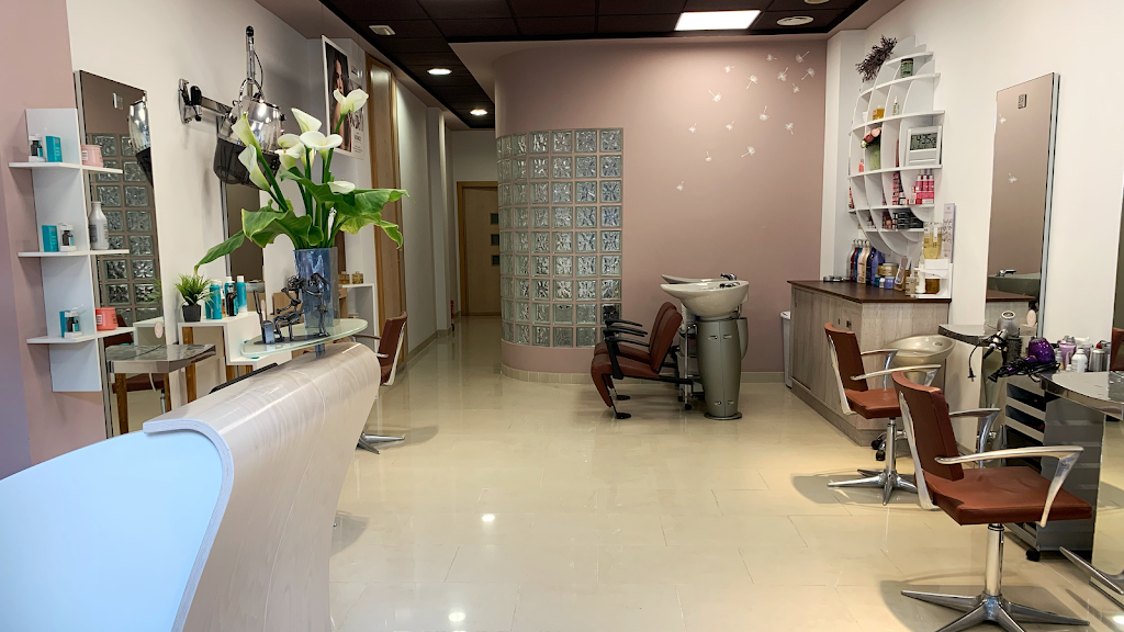 Pilar Ferrer Peluqueria y Estetica Moncada