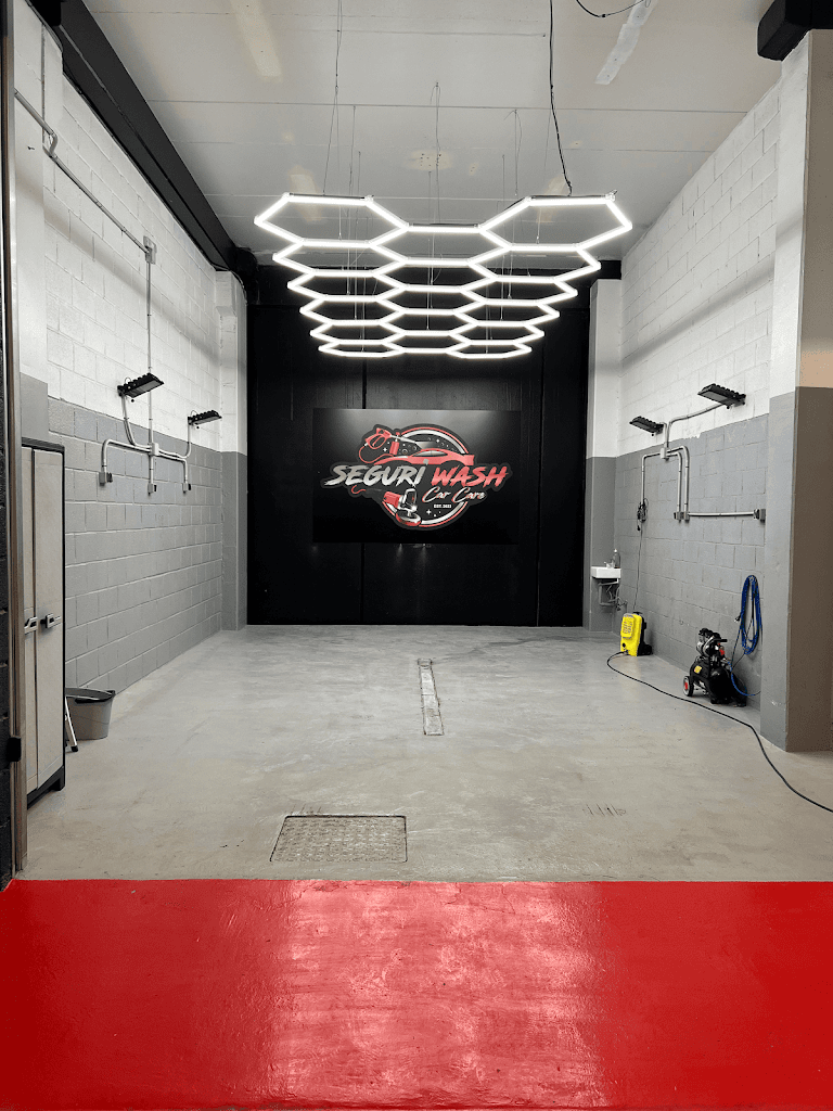 SEGURIWASH