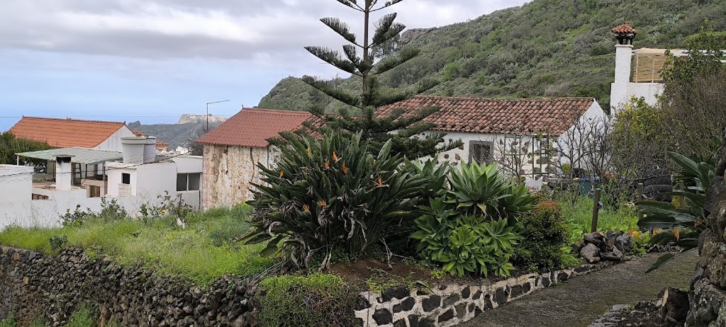 Barranco Del Alamo, Teror — Mas recientes