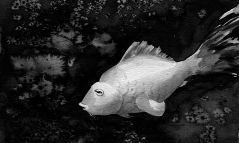 Espacio de artes plasticas Silvia Franzher