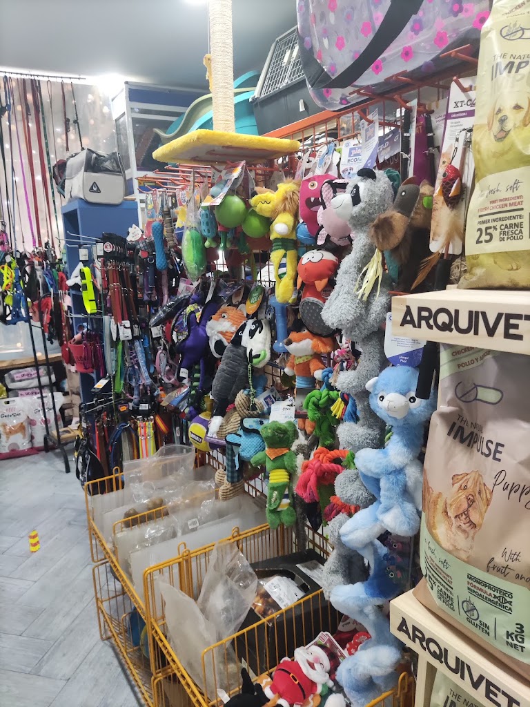 Cashmascota — Mas recientes