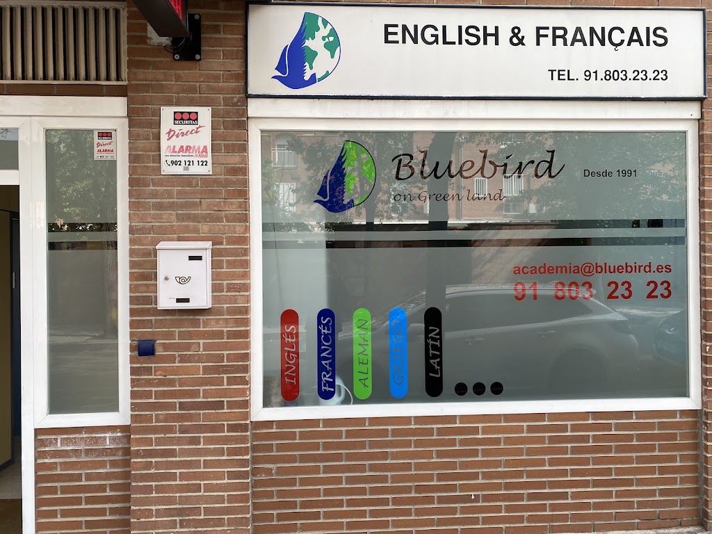 Academia Bluebird & Bluemath — Del propietario