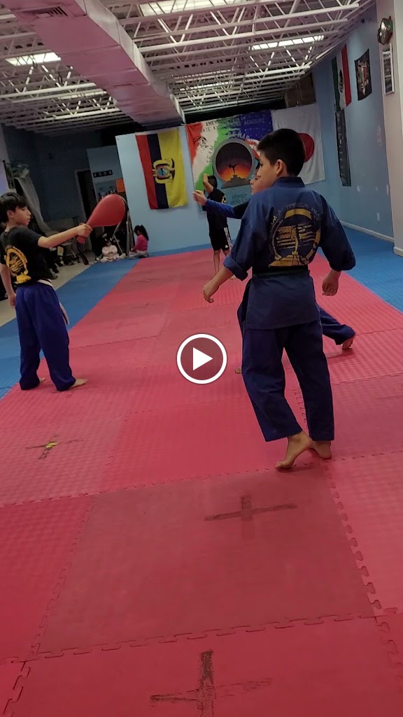  Americas finest karate kick boxing academy queens ny