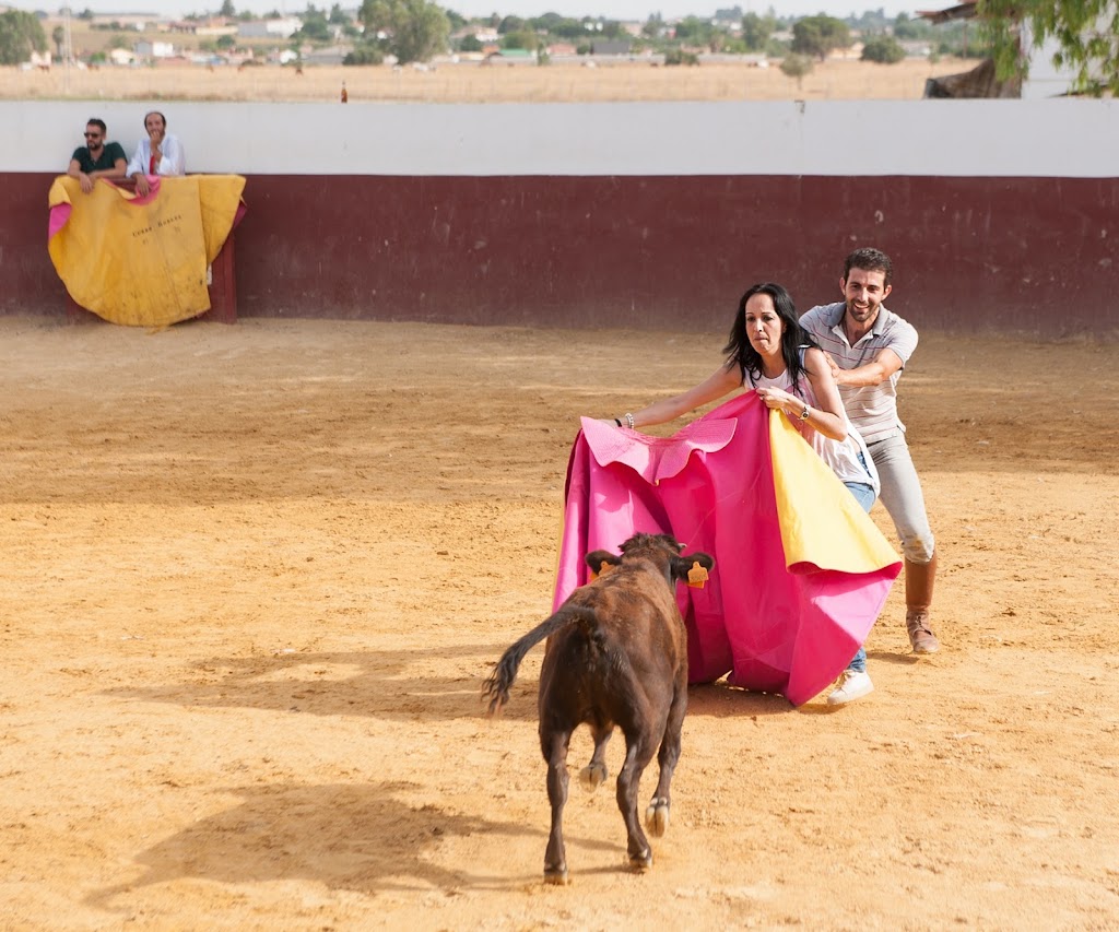 La Doma Capeas en Sevilla