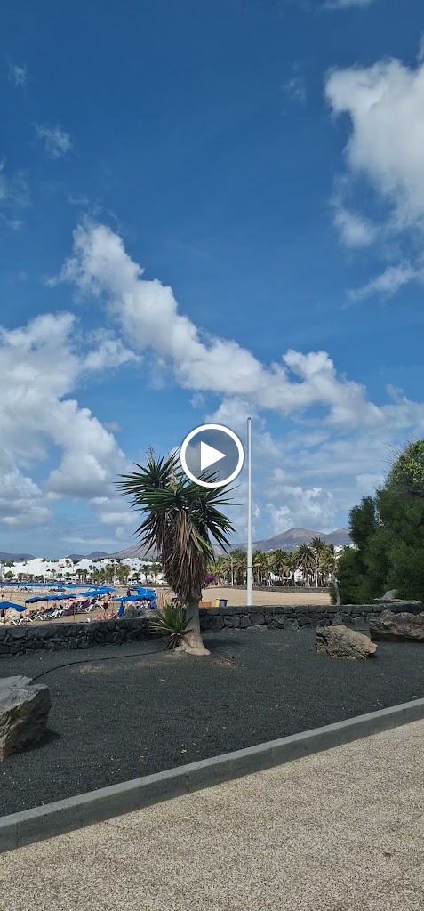 Alisios Cafe — Videos