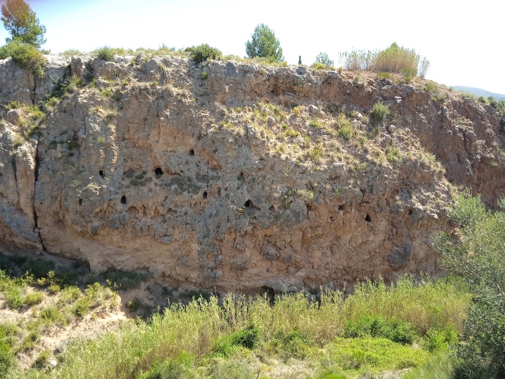 Cuevas del Turco