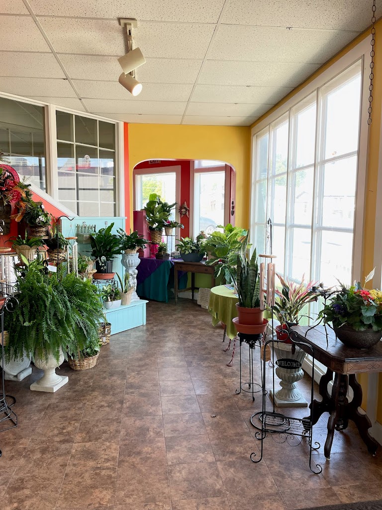 Kafer's Flowers