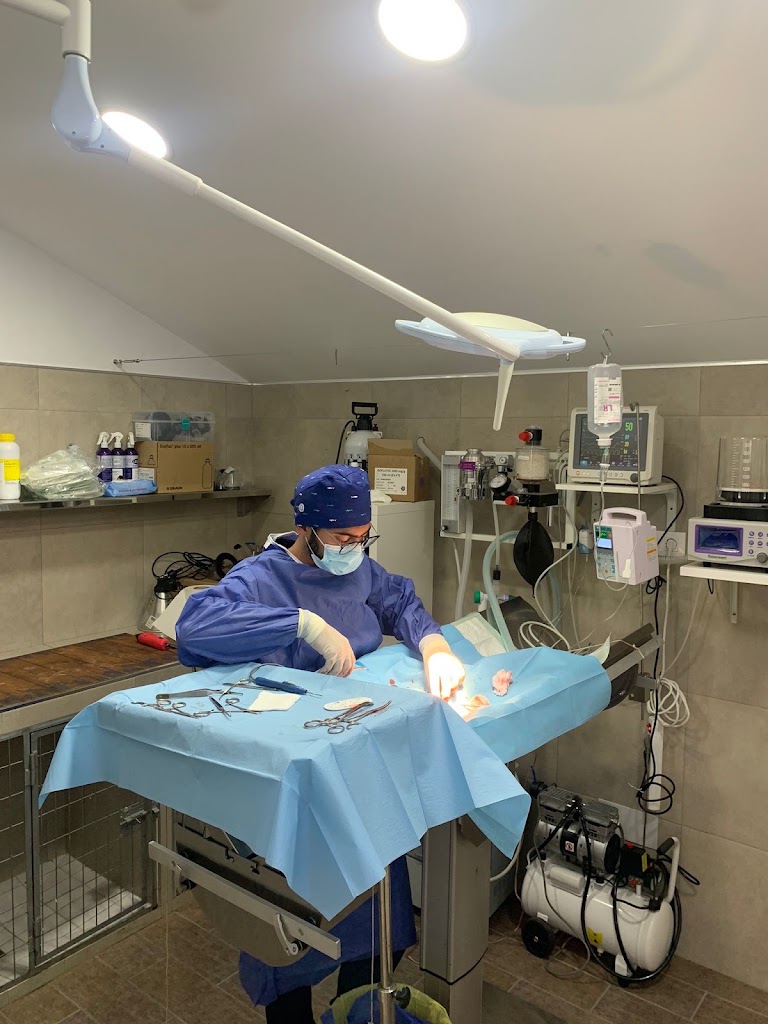 GALVET VETERINARIOS — Del propietario