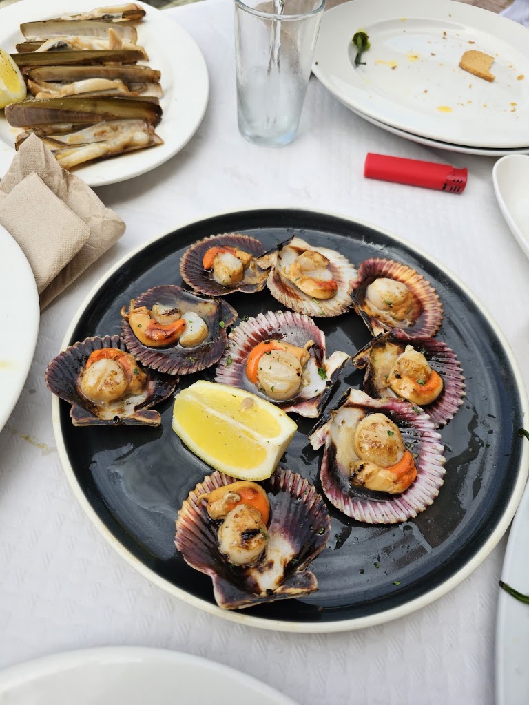 Bar O' Tella — Pectinidae