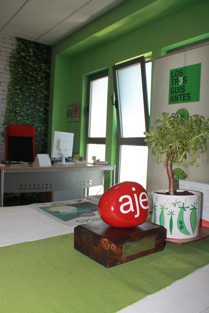 L3G Marketing | Agencia de Marketing Digital