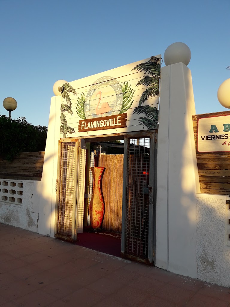 Flamingoville