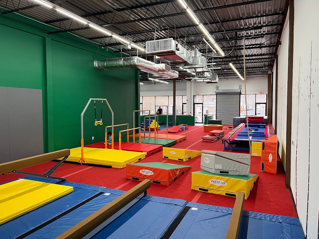  Dominique Dawes Academy