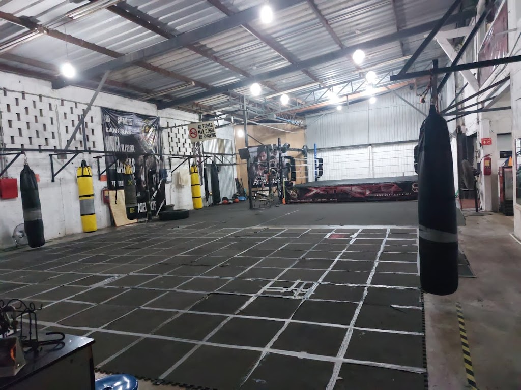 Xtreme sports,artes marciales