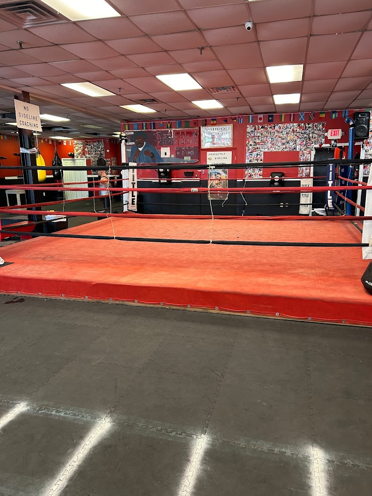  Brunswick Boxing Stars