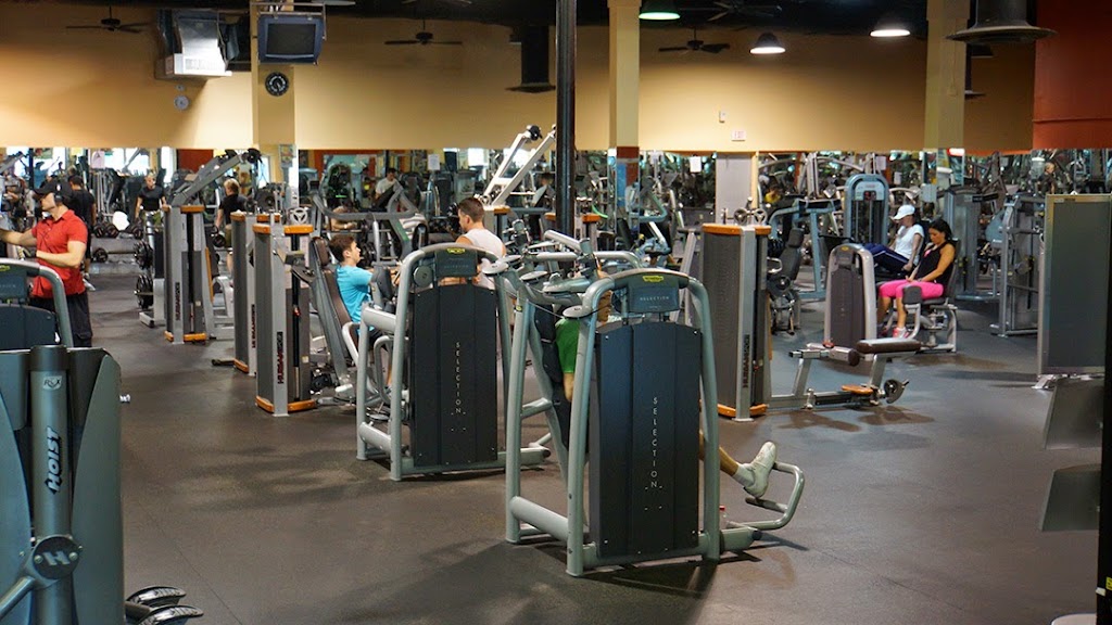  Apex Gym and Training