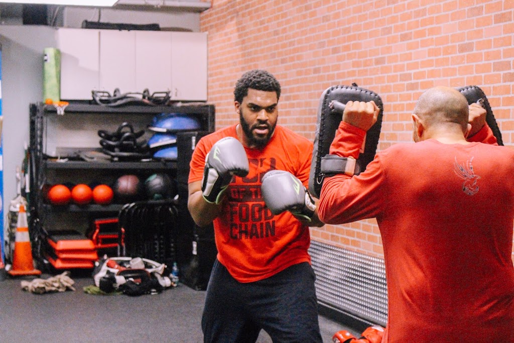  Phoenix Sports Empire