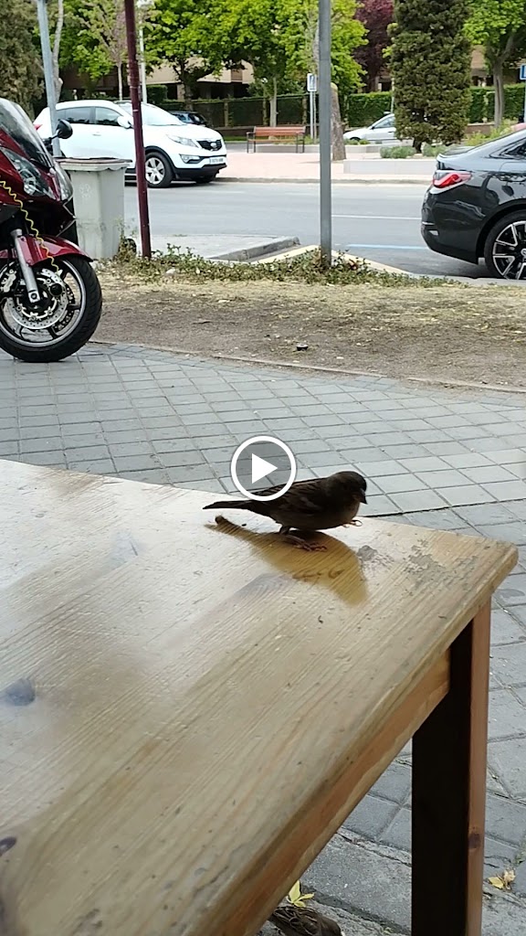 Taberna Entretres — Videos