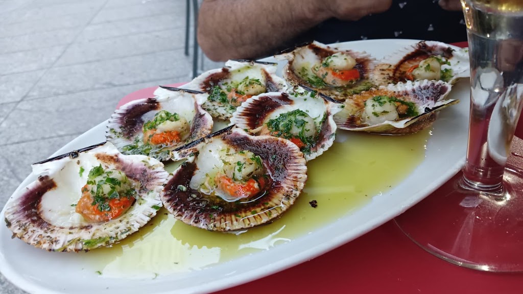 Meson O'faro — Pectinidae